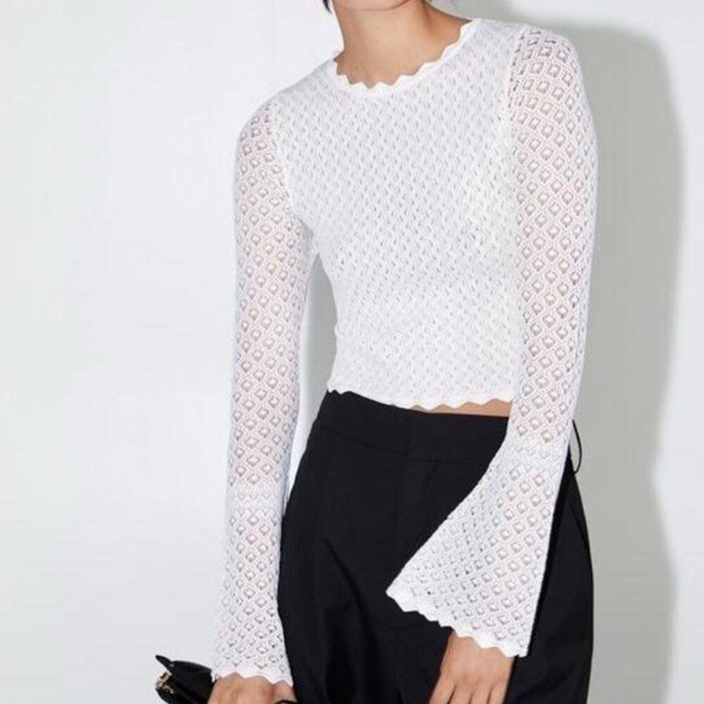 Zara Ecru Scalloped Pointelle Knit Stretch Cropped Top, NWT, M